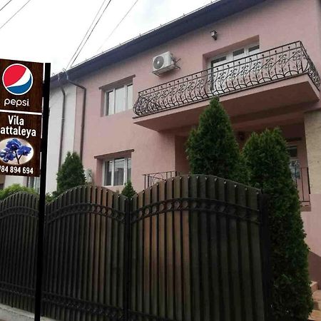 Hotel Casa Cattleya à Târgu Jiu Extérieur photo